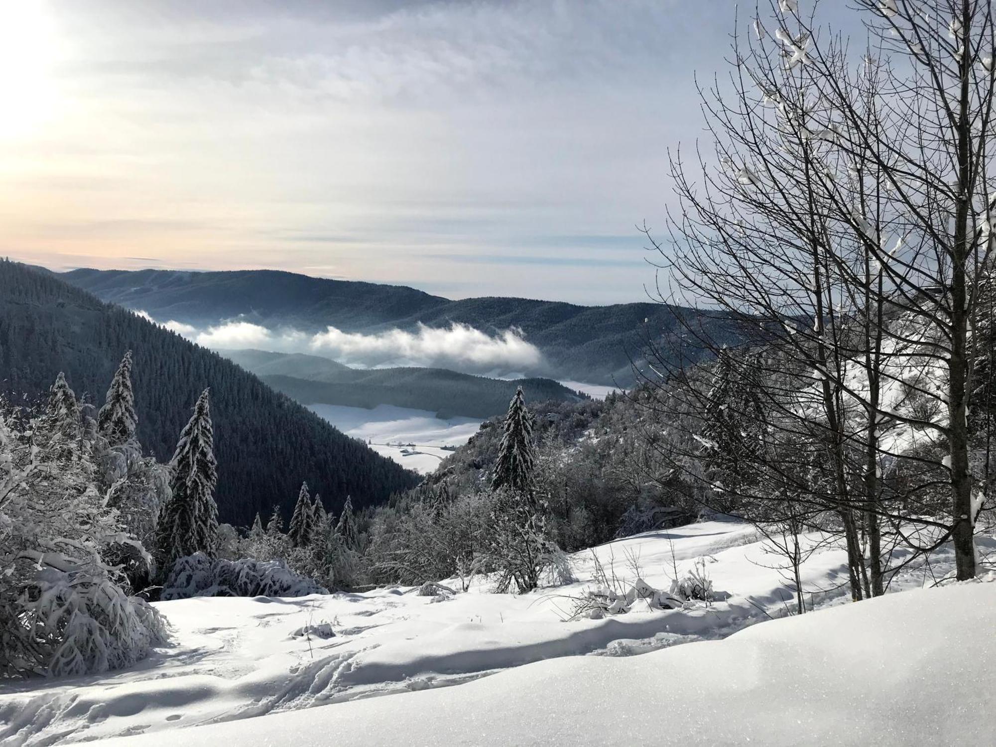 Ferme Des Deux Freres, Autrans, Vercors Ngoại thất bức ảnh